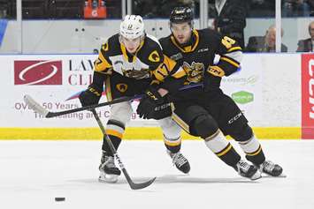 The Sarnia Sting host the Hamilton Bulldogs. 15 March 2023. (Metcalfe Photography)