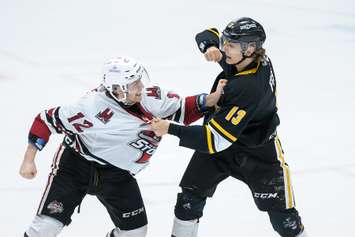 Sting defenceman Lukas Fischer squares off with Guelph's Ryan McGuire in Game 2 of the opening round playoff matchup. 2 April 2023. (Metcalfe Photography)