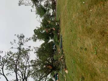 Arkona area storm damage July 19, 2020 (Photo courtesy of Ian Vanengelen)