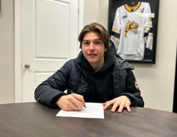 Sting sign Manza to OHL agreement