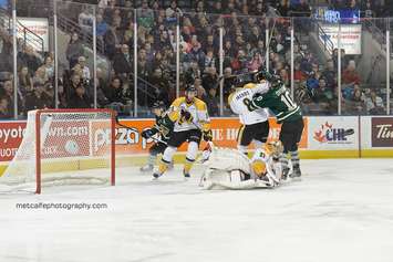 The London Knights take on the Sarnia Sting, February 7, 2016. (Photo courtesy of Metcalfe Photography)