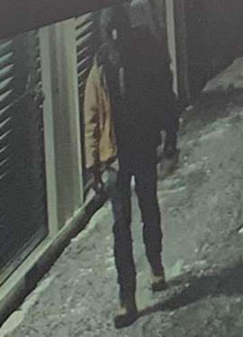 One of two men wanted by police in relation to a theft in Thamesville over the weekend. January 28, 2019. (Photo courtesy of Chatham-Kent police)