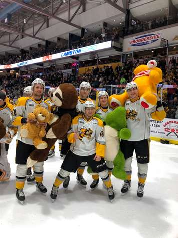 Sarnia Sting players show off some of the stuffed animals thrown onto the Progressive Auto Sales Arena ice during the Stings annual Teddy Bear Toss, December 8, 2018. Photo courtesy Sarnia Sting/Twitter.