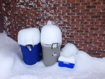 Sarnia Lambton residents dig out after a major winter storm dumped 30 cm of snow. February 2, 2015 (BlackburnNews.com photo by Melanie Irwin)