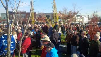 Crowds gather at the Goderich Square Cenotaph. (photo - Bob Montgomery)