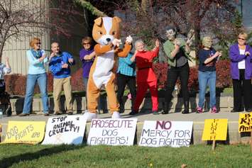 Animal cruelty protesters gather outside of the Chatham Courthouse. November 5, 2015. (Photo by Matt Weverink)