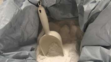 Succinic acid at BioAmber. August 6, 2015 (BlackburnNews.com Photo by Briana Carnegie)