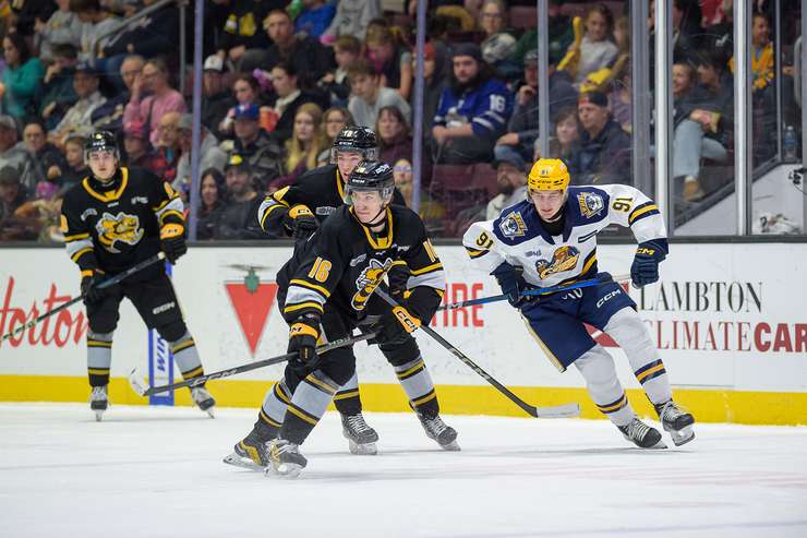 Erie Otters at Sarnia Sting, March 12, 2025. Photo by Metcalfe Photography. 