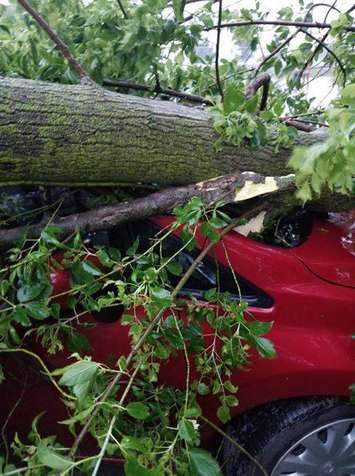 A car crushed by a tree that broke during intense storms in Grand Bend, July 20, 2019. Photo courtesy of Ian Parkin.