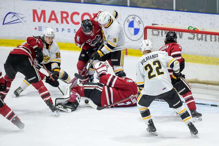 Guelph Storm at Sarnia Sting, Nov 26, 2023. Photo by Metcalfe Photography. 