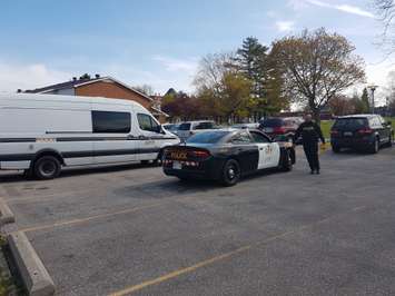 OPP swarm Leamington neighbgourhood after disturbance April 28, 2017.  (Photo courtesy of Cordelle Green)