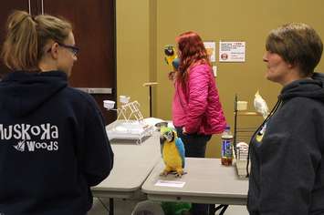 Southwestern Ontario Pet Expo at the John D. Bradley Convention Centre in Chatham. March 11, 2017. (Photo by Natalia Vega)