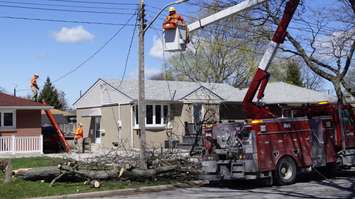 Bluewater Power workers fixing power lines on Oak Ave. after part of a tree came down. May 4, 2018. (Photo by Colin Gowdy, BlackburnNews) 