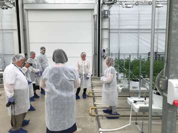 Master Horticulturist Françoise Lévesque takes local media on a tour of High Park Farms in Enniskillen Township. May 15, 2018 (Photo by Melanie Irwin)