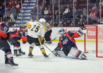 The Windsor Spitfires take on the Sarnia Sting, March 29, 2018. (Photo courtesy of Metcalfe Photography)