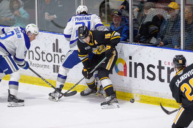 Sarnia Sting against Sudbury Wolves on January 13, 2024 (Photo by Metcalfe Photography)