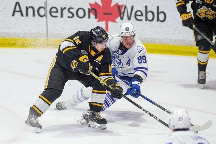 Mississauga Steelheads at Sarnia Sting, March 13, 2024. Photo by Metcalfe Photography. 