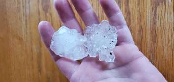 Large hail in Windsor, June 10, 2020. (Photo courtesy of Paula Wilson)