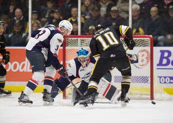 The Windsor Spitfires take on the Sarnia Sting, March 24, 2018. (Photo courtesy of Metcalfe Photography)