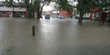 Garden Court in Windsor flooded to to heavy rain, Submitted by Michelle Marcus. (August 29, 2017) 