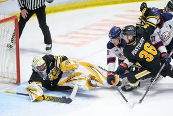 The Sarnia Sting hosting the Saginaw Spirit in Game 2 of the west semifinal. 16 April 2023. Metcalfe Photography. 