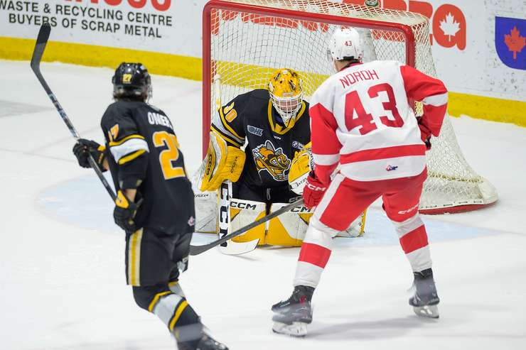 Soo Greyhounds at Sarnia Sting, March 14, 2025. Photo by Metcalfe Photography. 