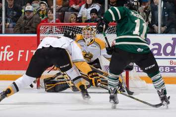 The London Knights take on the Sarnia Sting, December 31, 2014. (Photo courtesy of Metcalfe Photography)