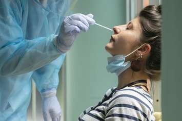 A healthcare worker performs coronavirus swab on a patient. File photo courtesy of © Can Stock Photo /Noiel