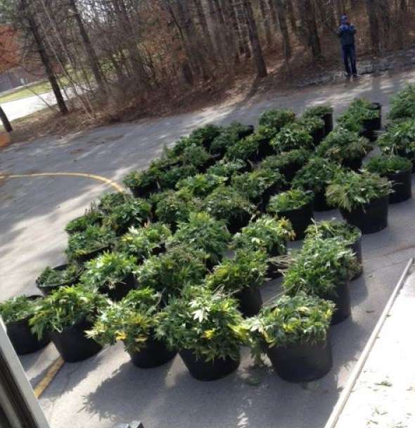 Vehicle Stop Nets $405K In Pot