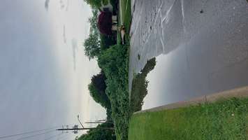 Downed trees in Chatham-Kent following June 1, 2022 storm. (Photo via Dave Palmer)