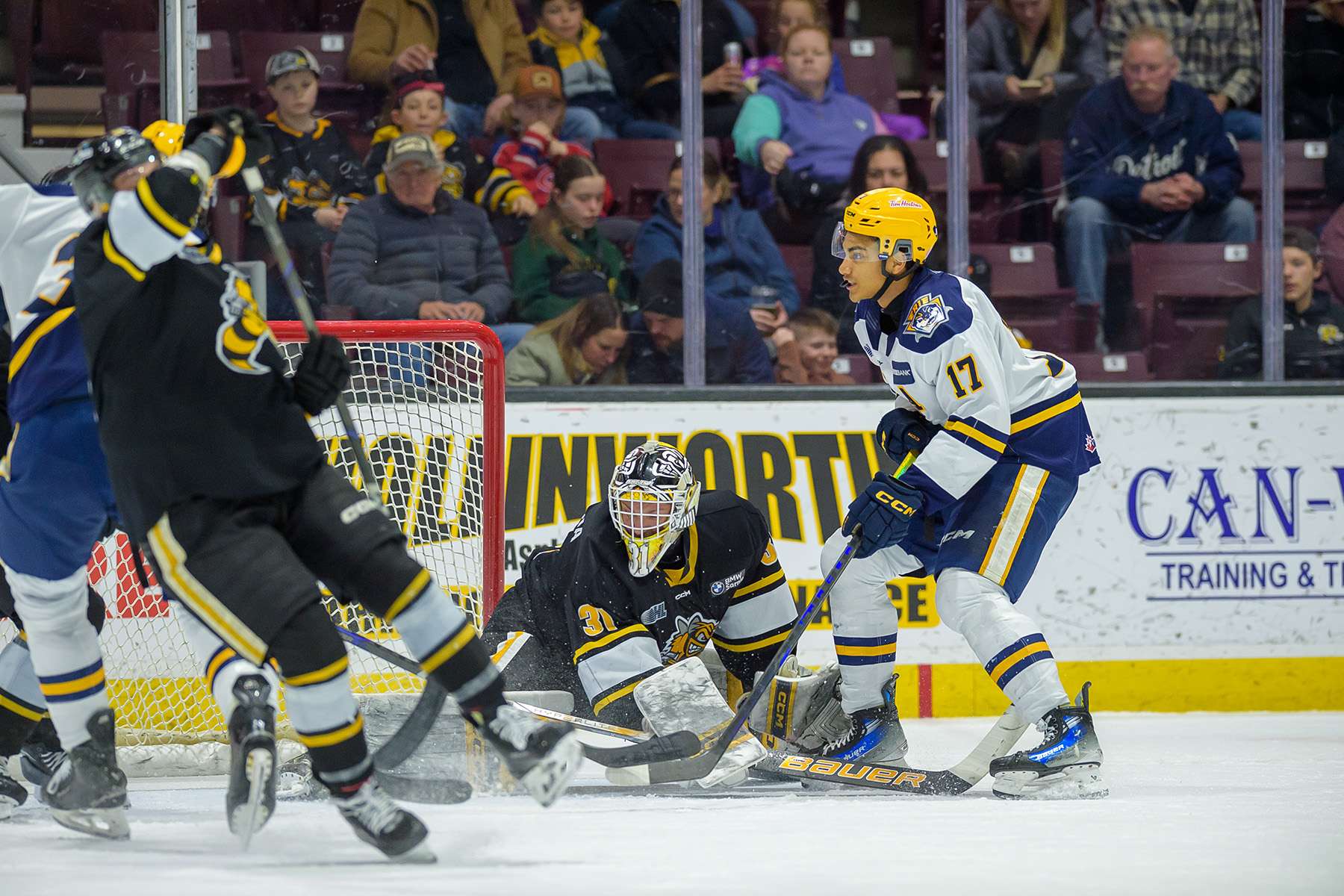 Sting fall to Erie in wild back and forth game