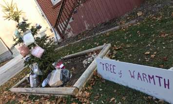 Tree of Warmth set up by Nicole Fitzgerald on Mitton St. November 23, 2018. (Photo by CHOK) 