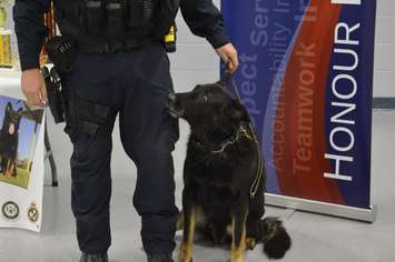 Retiring Windsor Police K9 Officer Kato, December 17, 2018. Photo by Mark Brown/Blackburn News.