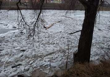 Broken up ice moves down the Thames River in Chatham. February 6, 2019. (Photo by Jason Homewood // @Jason_Homewood via Twitter)