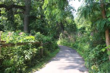 Ojibway Park, August 2021 (Photo by Maureen Revait) 