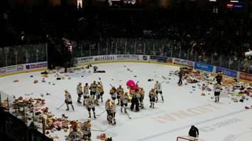 Teddy Bear Toss Dec 3, 2017. BlackburnNews.com photo by Stephanie Chaves.