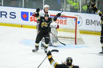 Sarnia's Zach Filak celebrates a goal in Game 2 of the Sting's opening round matchup against the Guelph Storm. 2 April 2023. (Metcalfe Photography)