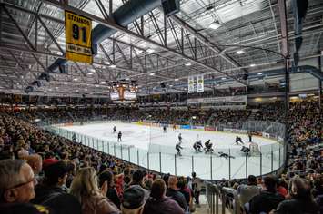 Sarnia Sting hold training camp