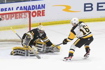 The Sarnia Sting host the Hamilton Bulldogs. 15 March 2023. (Metcalfe Photography)