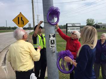 Constable Nelson Amaral helps place purple ribbons at Modeland Rd. and Michigan Ave. May 24, 2017 (Photo by Melanie Irwin)