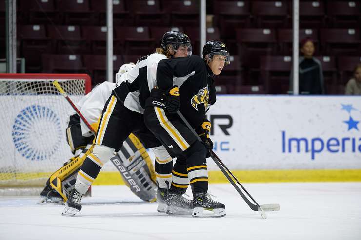 The Sarnia Sting wrap up their 2023 training camp with the Black and White game. 31 August 2023. (Metcalfe Photography)