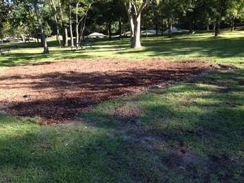 Outdoor Fitness Centre site at Canatara Park. Photo submitted by Larry Gordon. 