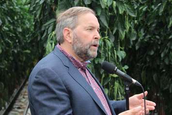 NDP Leader Tom Mulcair speaks at a pepper farm in Chatham-Kent, July 22, 2015. (Photo by Mike Vlasveld)