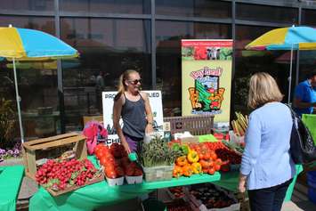 Vendors take part in a Farmers Market outside the Civic Centre in Chatham to kick off Local Food Week. June 6, 2016. (Photo by Matt Weverink)