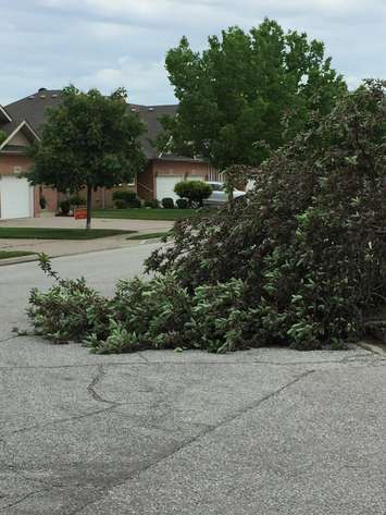 Storm damage shown in east Windsor, June 1, 2022. Photo by Matt Franklin.