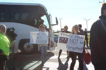 Protesters outside the Chatham-Kent Provincial Offences Courhouse, November 3, 2016 (Photo by Jake Kislinsky)
