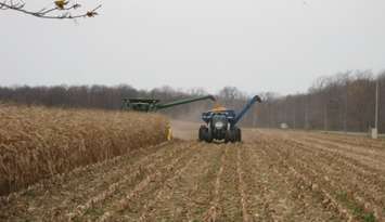 Harvesting. (CKNXNewsToday.ca photo by Bob Montgomery)