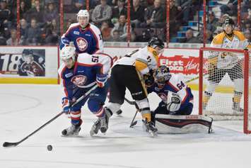 The Sarnia Sting take on the Windsor Spitfires, January 31, 2016. (Photo courtesy of Metcalfe Photography)