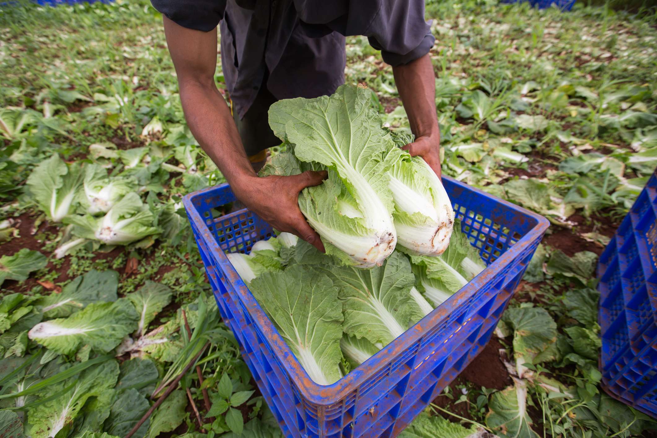 New WSIB strategy aims to better protect injured and sick temporary ...