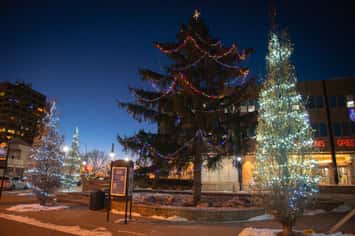 Christmas tree in front of Sarnia City Hall. December 5, 2025. (Photo courtesy of the City of Sarnia via Facebook)